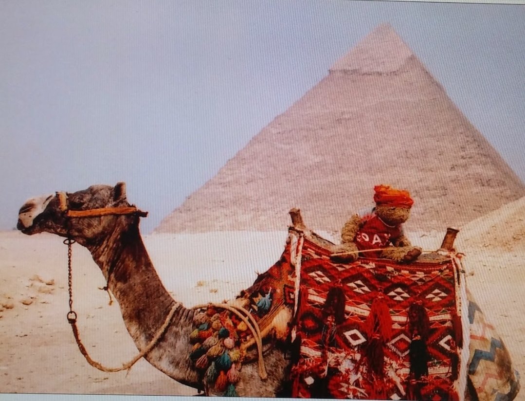 #HappyHumpday from Paddington and me at Giza, 2004.
