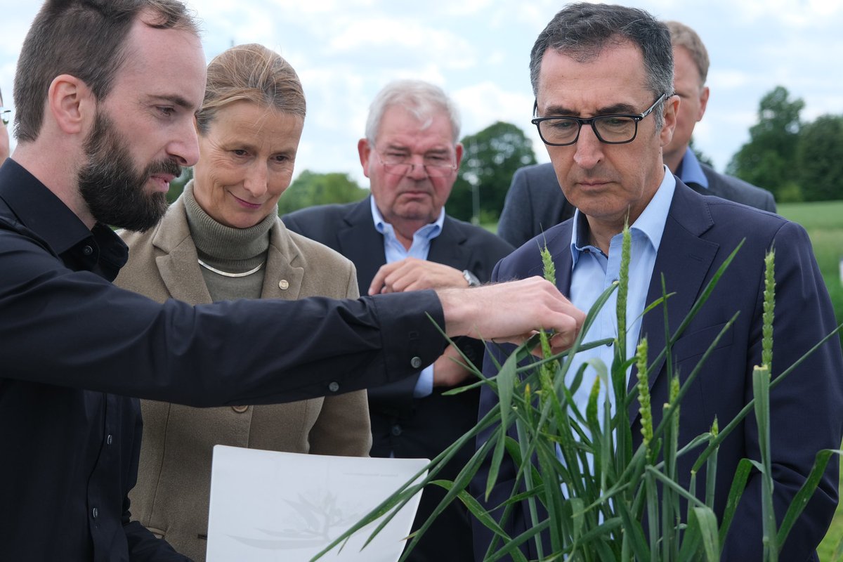 Erst die Erfahrung in einem Zuchtgarten machen deutlich, wie #Pflanzenzüchtung funktioniert und was PflanzenzüchterInnen brauchen, um innovativ zu sein und Vielfalt zu schaffen. Vielen Dank für den Besuch und das Interesse Minister @cem_oezdemir #waswirbrauchen @bmel