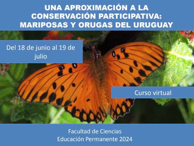 eduperfcien's tweet photo. Estimad@s,  Están abiertas las inscripciones para el curso EP "Una aproximación a la conservación participativa: Mariposas y orugas del Uruguay".  INSCRIPCIONES: https://t.co/0op32MVTkX……… …hasta el 14 de junio. Matrícula: $u 500.  Adjuntamos más info. https://t.co/7ZnHwb3Pkf