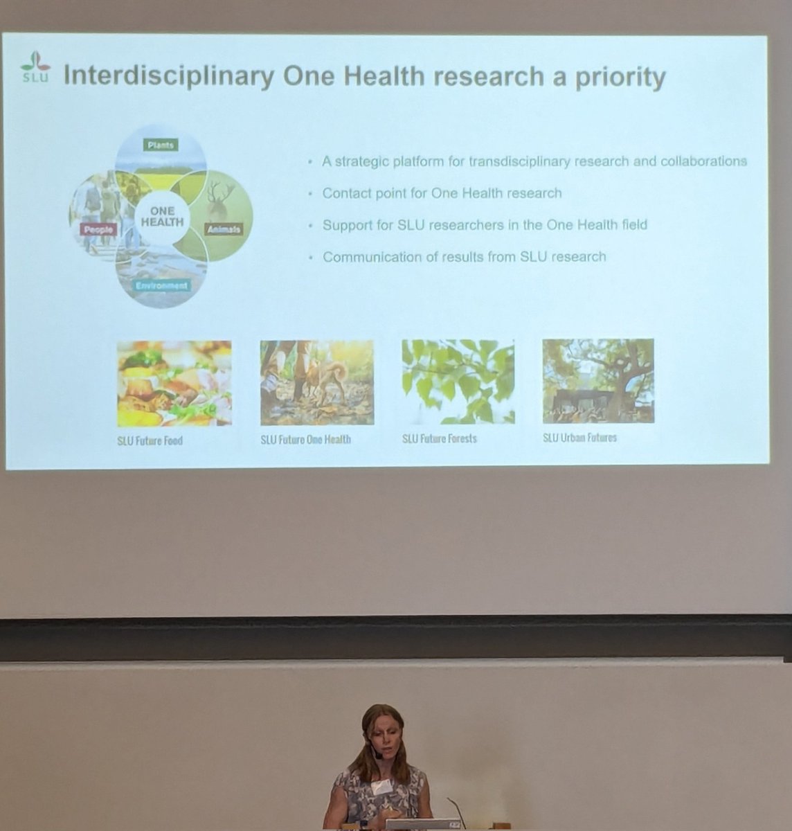 Ulf Emanuelson tweet media