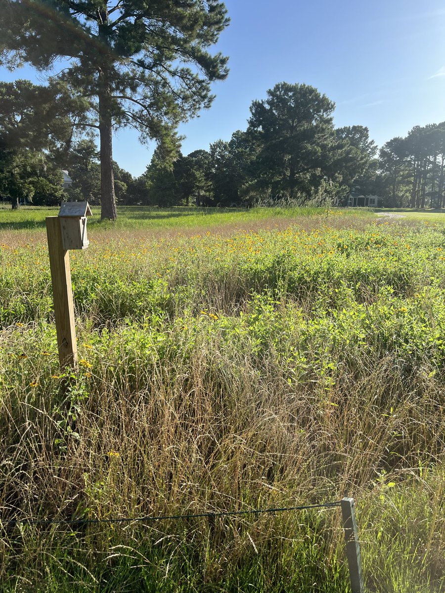 The wildflowers are starting to pop! #Audubongolf