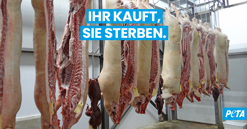 Wer tierische Produkte wie z.B. #Fleisch, #Fisch, #Milch, #Käse, #Joghurt, #Eier und #Honig kauft, ist für den Tod unzähliger fühlender Lebewesen mitverantwortlich. Wer das nicht sein möchte, lebt #vegan. 🌱 Auf veganstart.de helfen wir euch dabei. 💚