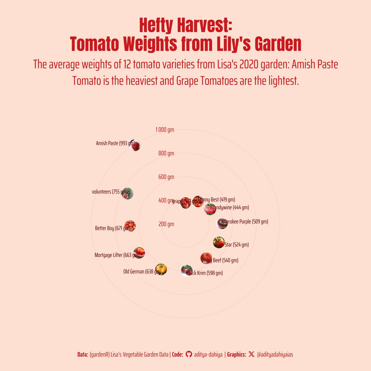 #TidyTuesday A circular plot on the average weights of 12 different tomato varieties harvested in 2020 from Lisa's vegetable garden.
Data: #tidytuesday @lisalendway 
Code: tinyurl.com/tidy-tomatoes
Tools: #ggplot2 #rstats #ggimage @R4DScommunity
