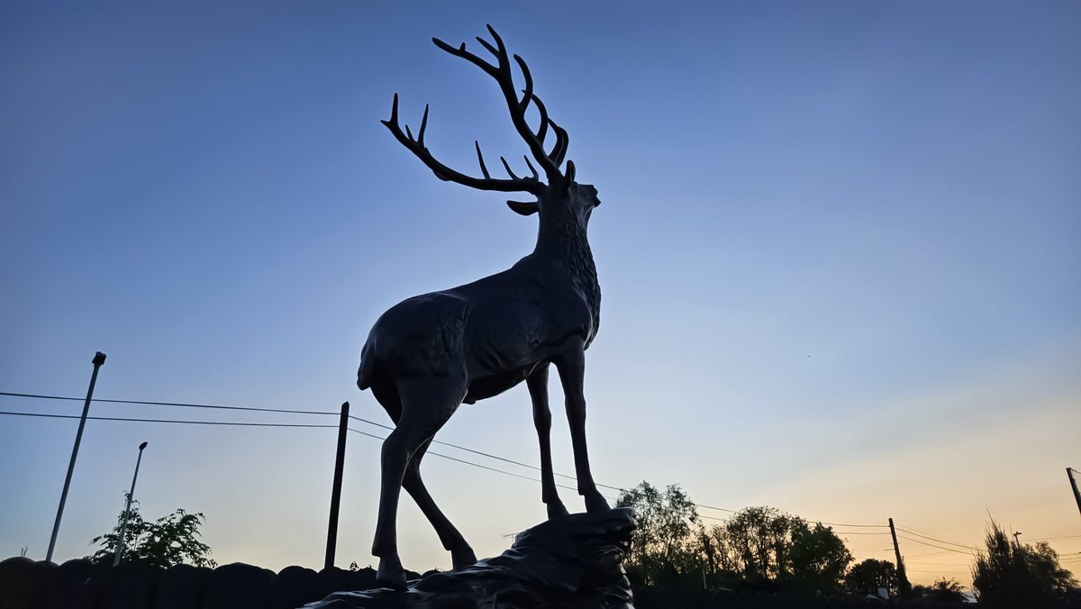 The new addition to our Community Park stands tall & proud in the evening sun!