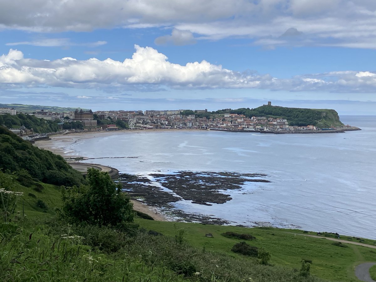 ⁦<a href="/maverickwhites/">Maverick Whites</a>⁩ Cracking flags on the Yorkshire Riviera, you can stick your Premier League, with its VAR, dubious refereeing, top 6 cartel, big teams with refs in their pocket, greatest league in the world my arse #eflcashcow #alaw #mot #godsown