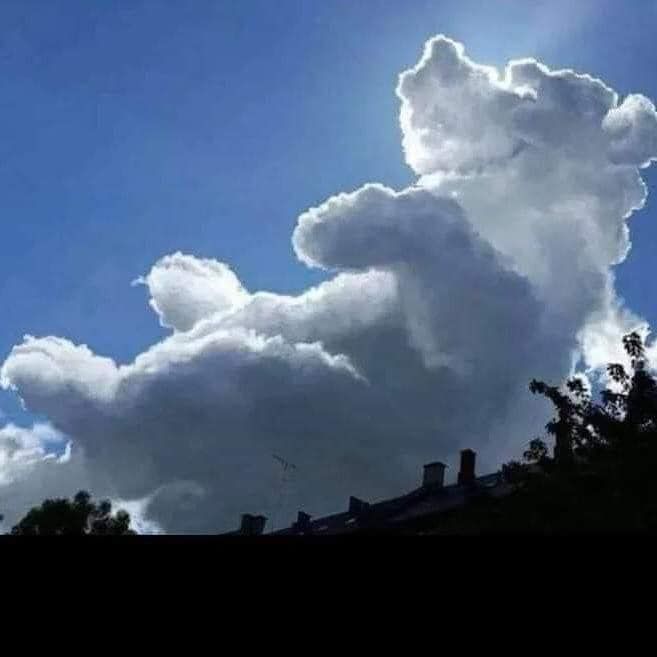 Apparently, if you can see a running dog you're left-brained, and if you can see a dragon, you're right-brained.