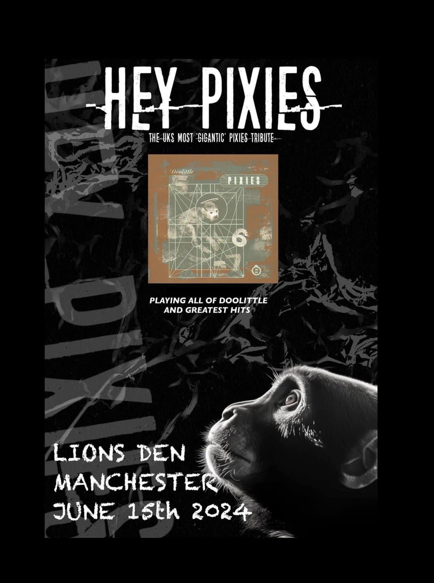 Just over a couple of week now til the brilliant @heypixiesuk celebrate “Doolittle” (and more!) at @LionsDenMcr with this very special show! Tickets - fatsoma.com/skeventsuk

#Pixies #Doolittle #HeyPixies #Manchester