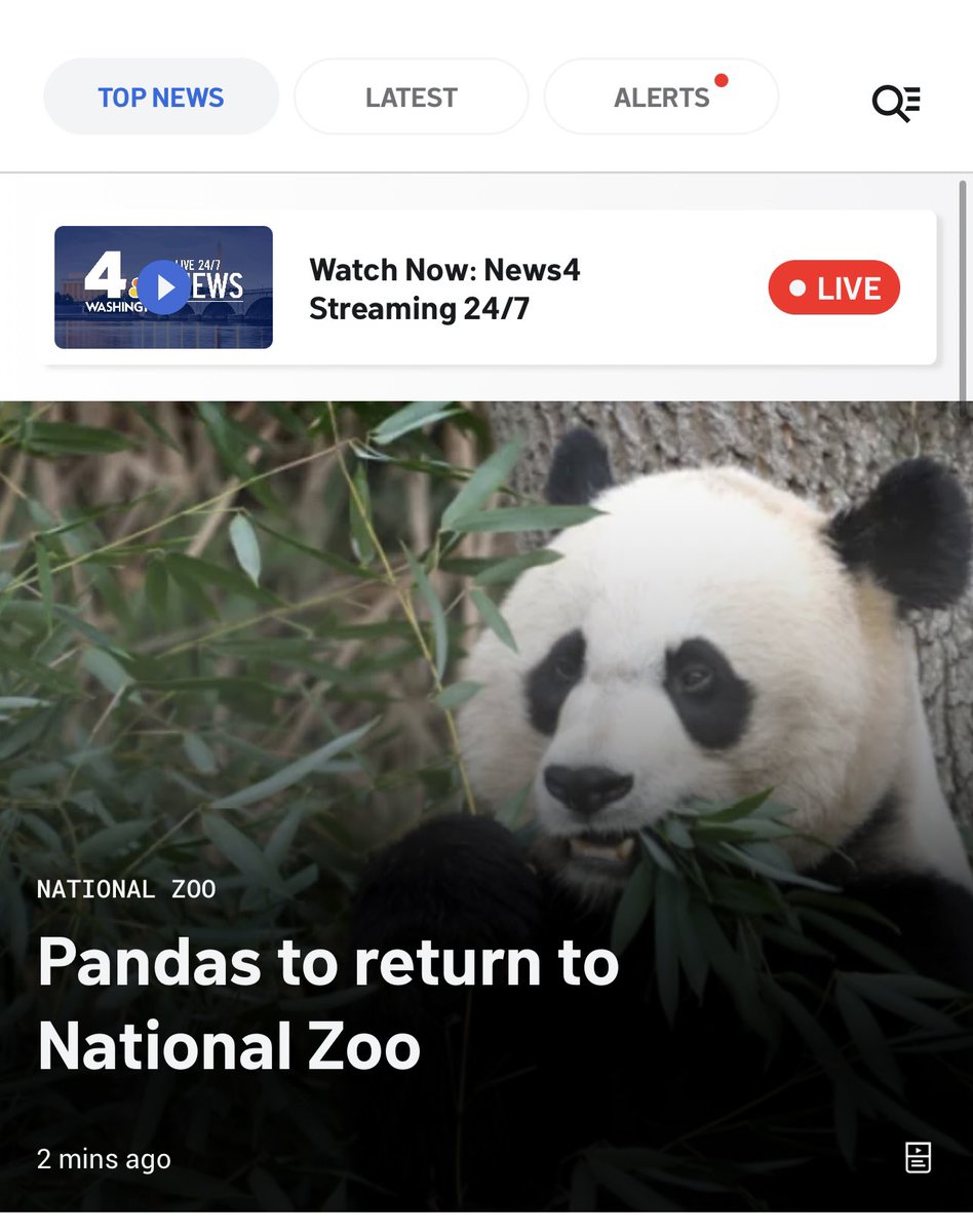 We are SO BACK! Can’t wait to bring you live coverage of this exciting announcement all day on News4 🐼 nbcwashington.com/news/local/nat… @nbcwashington @NationalZoo