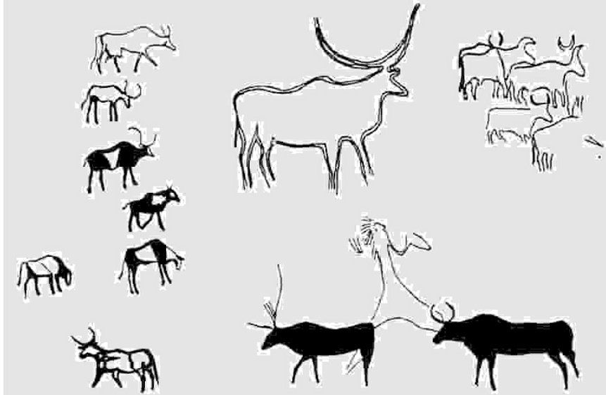 This is a Rock painting of the Indian Zebu bull from Tassili n'Ajjer, Algeria. More than 7000 years old. There is mounting evidence that Indian Farmers in Neolithic & Bronze age were emigrating with their crops & animals in ALL directions(Iran, Mesopotamia, Central Asia, China)