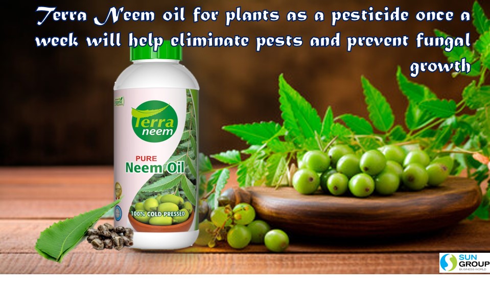 #terraneem- #neemoil #neem #organicoils #natural #peanutoil #pureoil #organicproducts #neemcake #neemcakepowder #kernelseedcake #neemkernel The product derived from the nature multiple time stronger