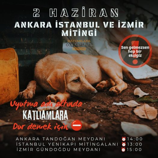 Hayvanların yaşam hakkını savunuyoruz! 'Uyutma' adı altında uygulanmak istenen katliam planını durduracağız! 2 Haziran Pazar günü İstanbul, Ankara ve İzmir'de yapılacak olan mitingleri destekliyoruz. İstanbul Yenikapı Meydanı 🕐13:00 Ankara Tandoğan Meydanı 🕑14:00 İzmir