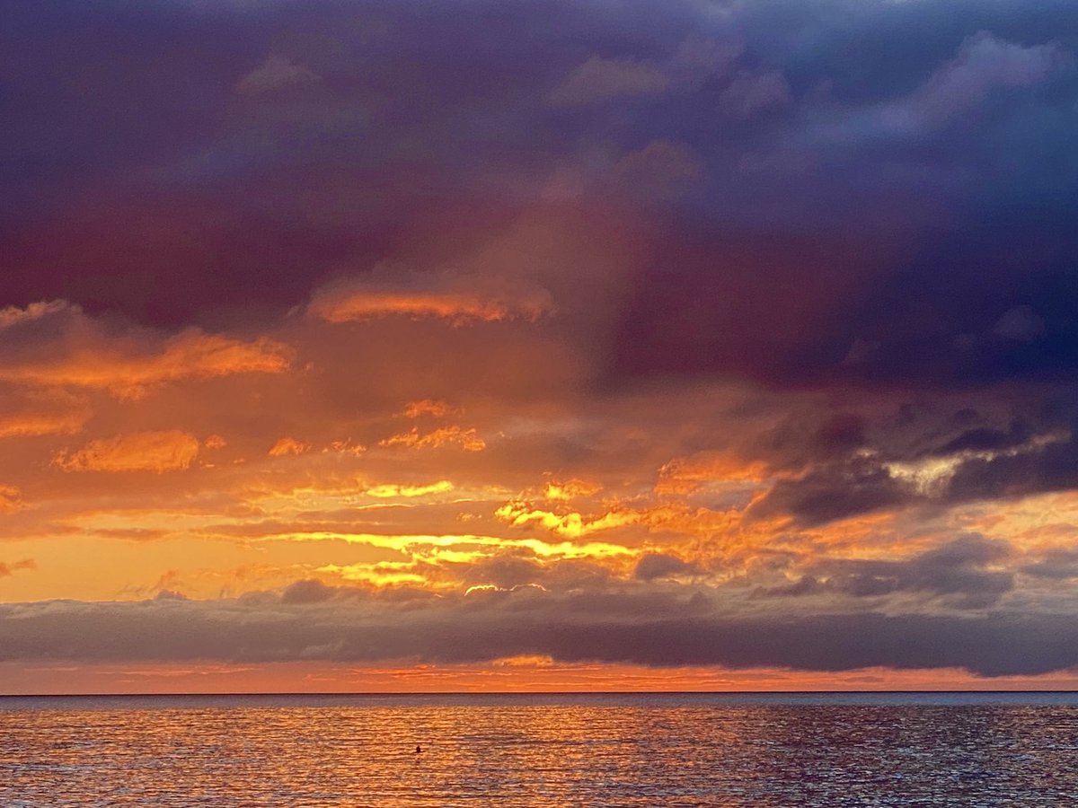 This morning. 😍 . #ireland #stormhour #ThePhotoHour #sunrise #wicklow #dogsoftwitter #greystones #irelandsancienteast #KeepDiscovering