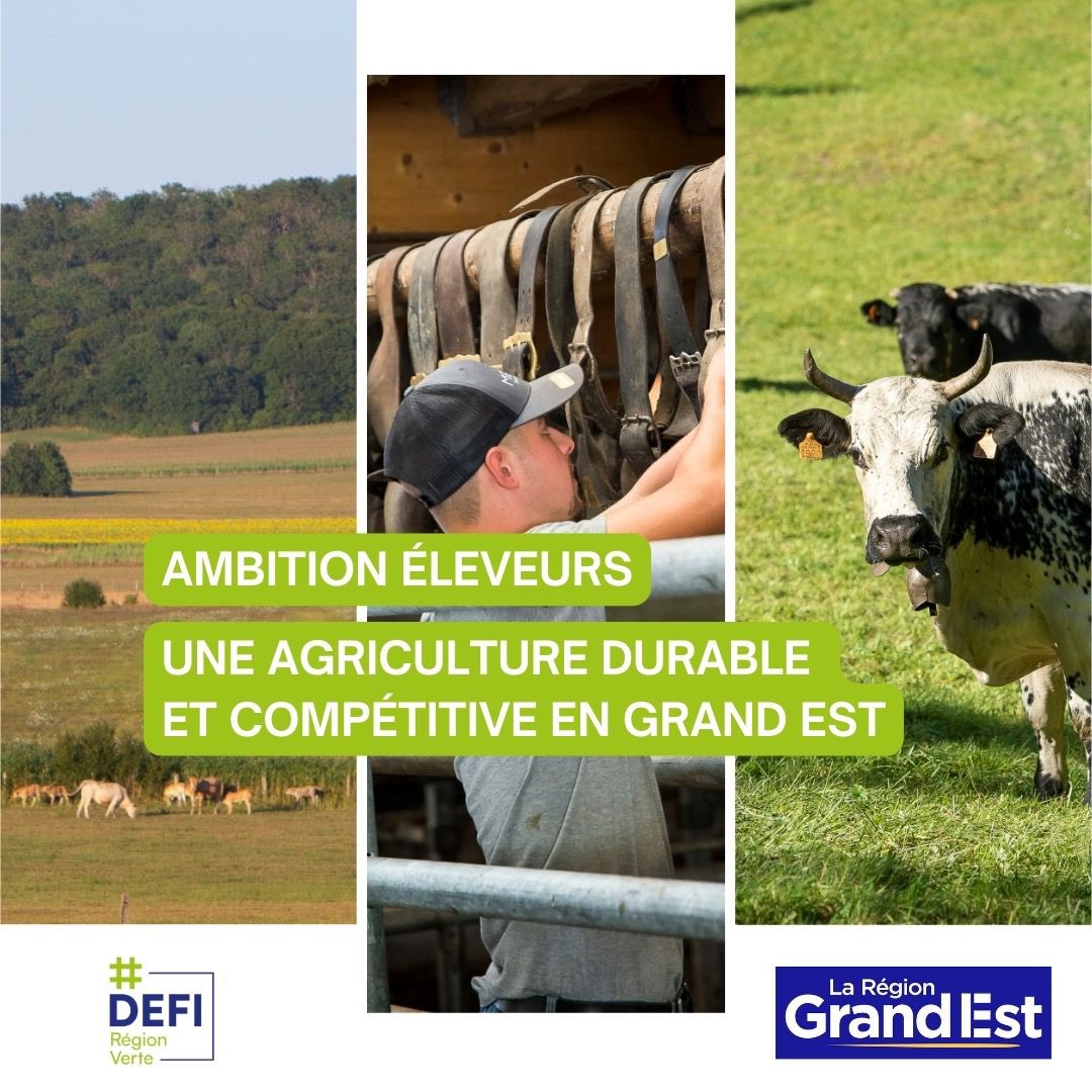 🌱💪 'Ambition Eleveurs' : un programme innovant pour un élevage durable et compétitif en #GrandEst ! 🚜 Avec 60 fermes de démonstration, 2000 exploitations accompagnées et un guichet unique, transformons ensemble notre agriculture ! 🌾 #AgricultureDurable #CPMai24