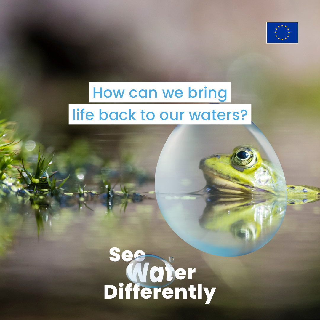 Water remains the major source of how humans and animals are exposed to #EndocrineDisruptors. We must tackle water pollution at its source and prevent any form of toxic waste in our water. #EUGreenWeek #WaterWIseEU #BecauseHormonesMatter