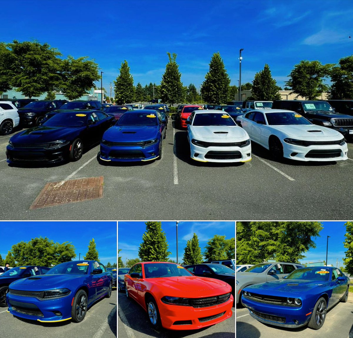 ALL DODGE INVENTORY MUST GO 🔥😎 Don't miss your chance to own a part of #Dodge history 🚘 Head into summer in the vehicle of your dreams! #Tvillecjdr #Auto #DodgeCharger #DodgeChallenger