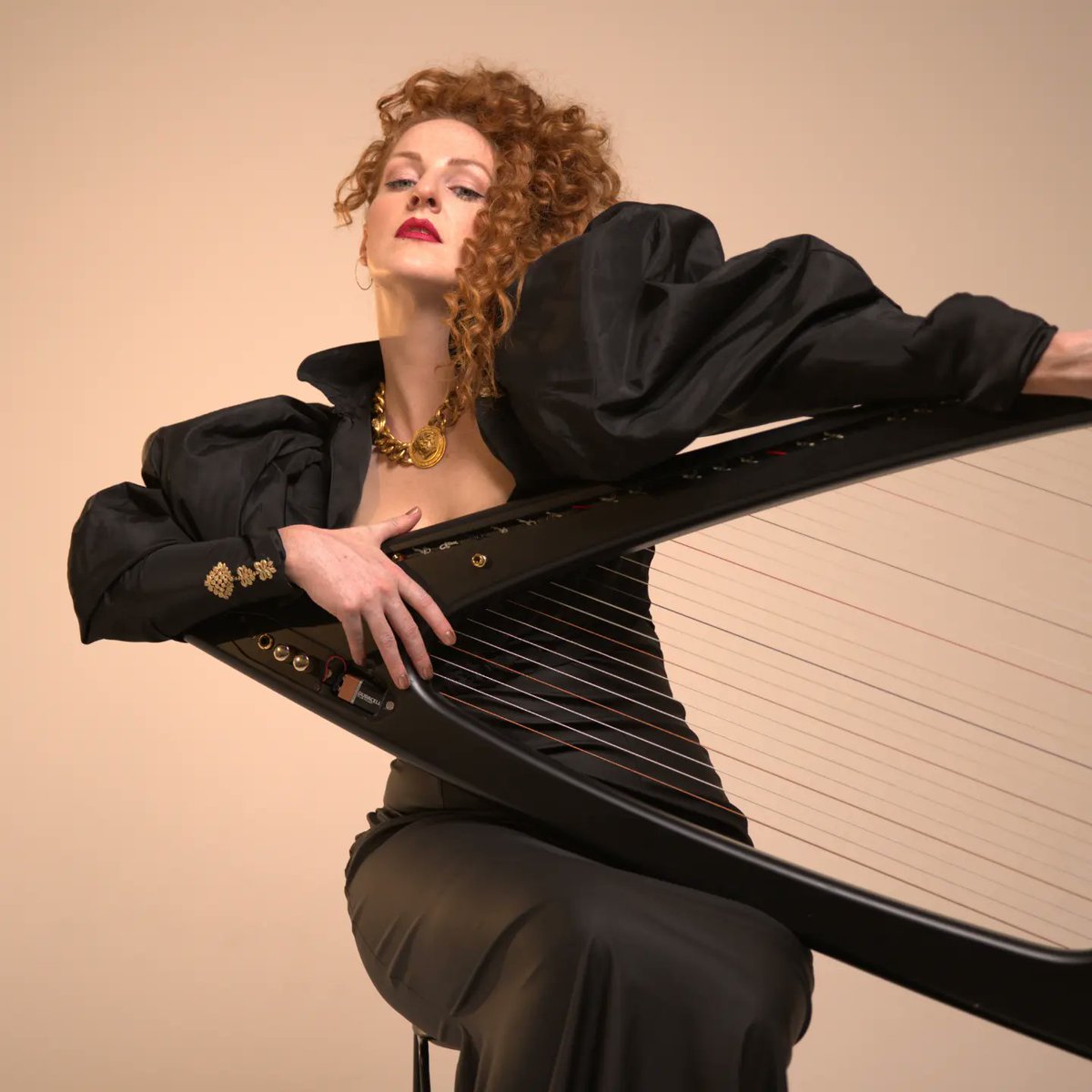 Harp Ireland tweet media