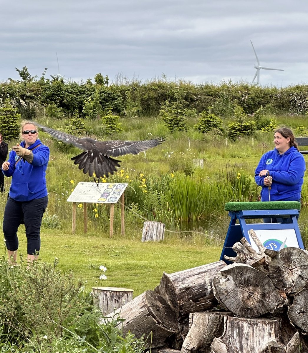 Tomorrow we will be at Vine House
Farm to hold an experience day between 9.30am - 4.30
pm.

*Tickets for bird handling are £6, &amp; must be pre-booked
at Vine House Farm. Available to purchase in the Farm
Shop or call 01775 630244. All other aspects are free
of charge.