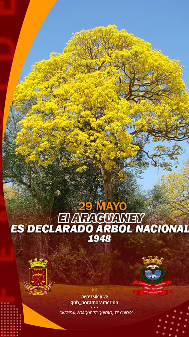 Bueno día
