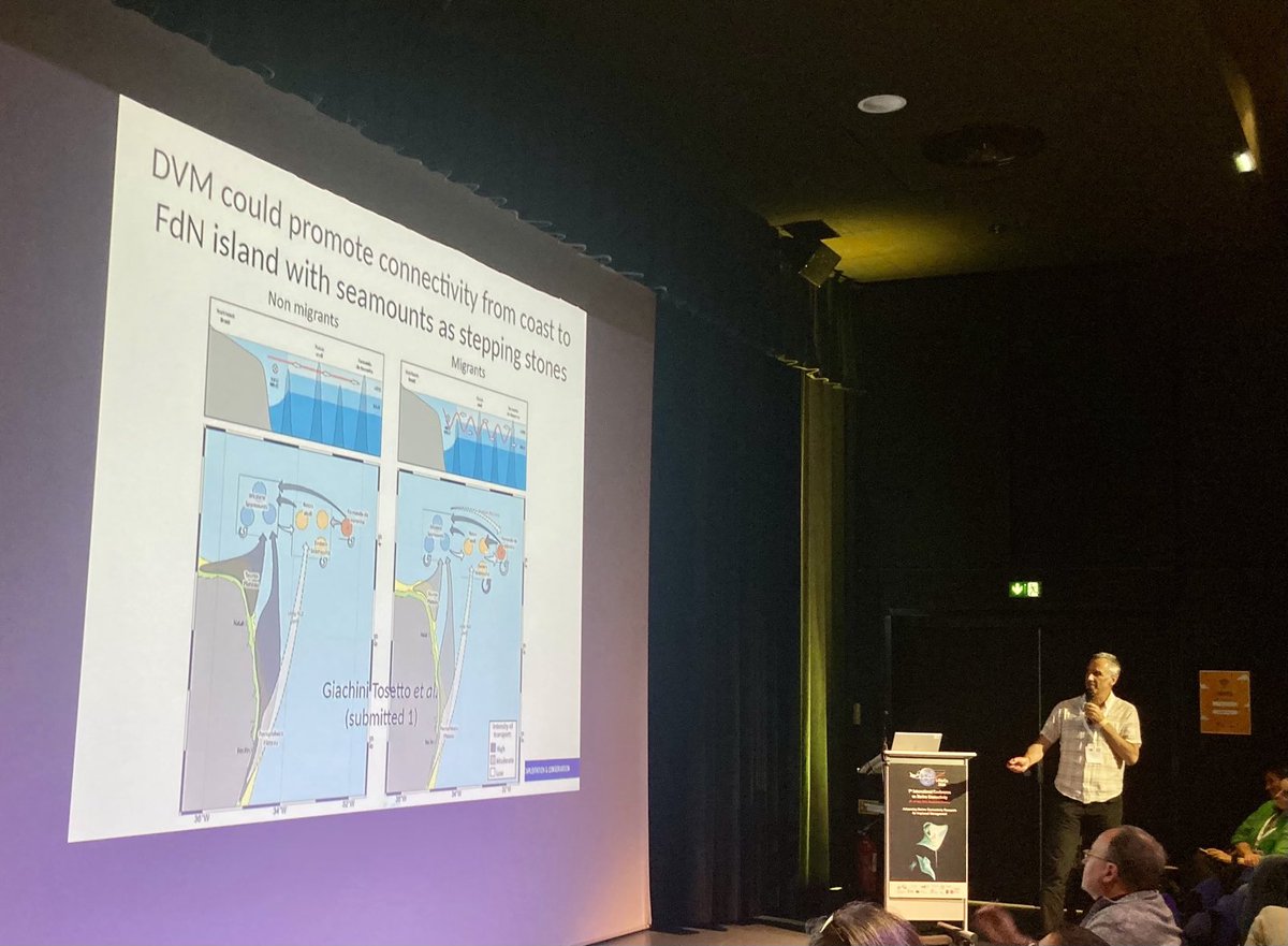 ADarnaude's tweet image. Christophe Lett from ⁦@umrMARBEC⁩ presenting the very interesting work of Everton Tosetto on the impact of daily vertical migration on spatial connectivity in the tropical Atlantic at the #imarco2024 conference.