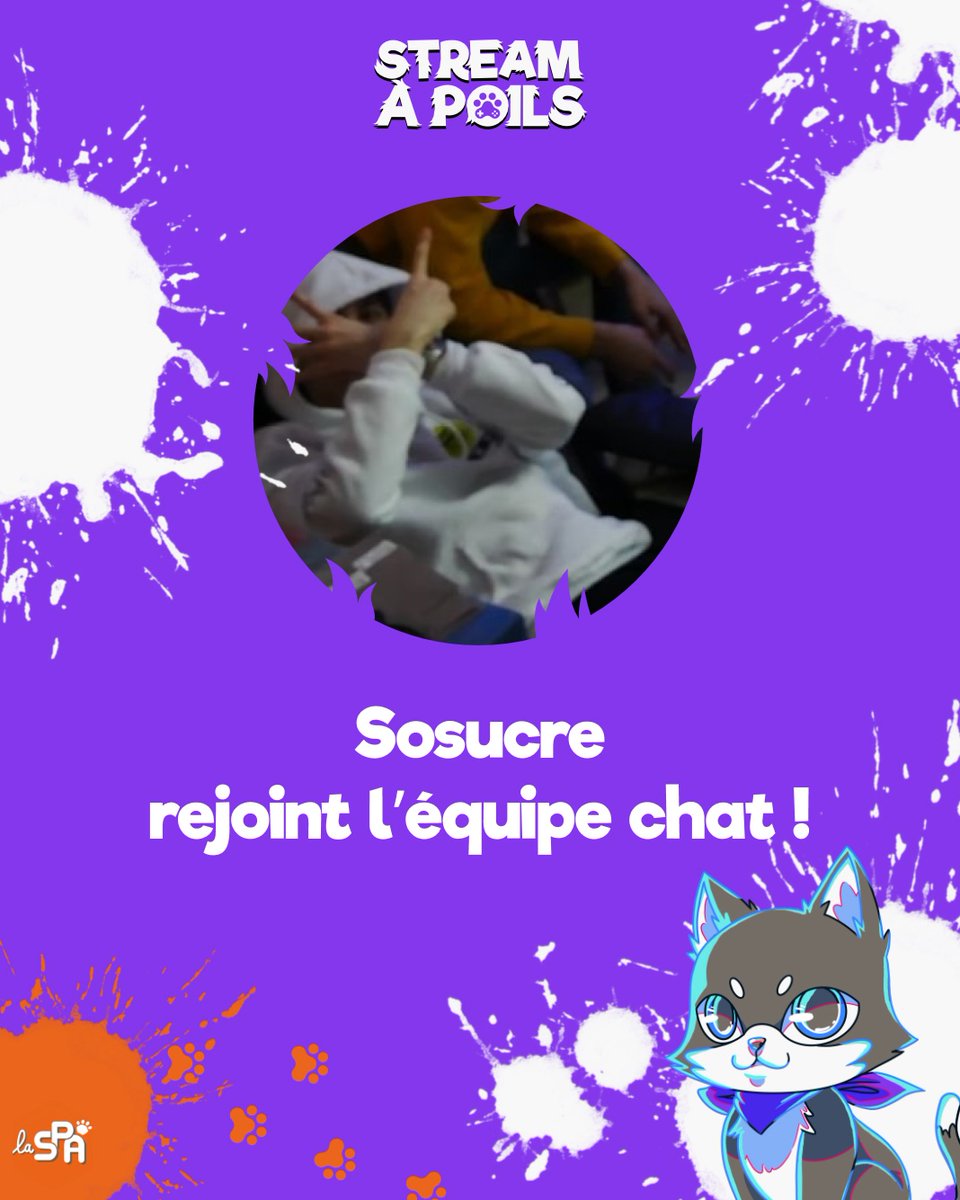 StreamAPoils's tweet photo. 🐱 TOURNOI OVERWATCH : EQUIPE CHAT🐱
@SoSucreTwitch
On se retrouve à 16h sur la chaîne twitch du
#StreamAPoils pour le début ! https://t.co/hEyov6mXFx
