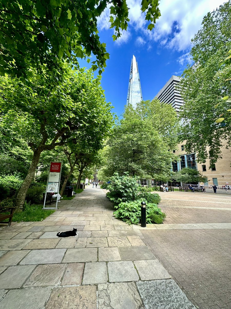 A glorious day to be supporting Physiotherapy MSc OSCEs @ KCL