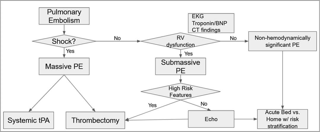 🔴 Intervention Versus Medical Management of Pulmonary Embolism #openaccess #2024Review 

✅Hx & P/E remain crucial for early pulmonary embolism diagnosis despite advances in imaging.

✅Pulmonary embolism risk is determined by right heart dysfunction.

journal.houstonmethodist.org/articles/10.14…