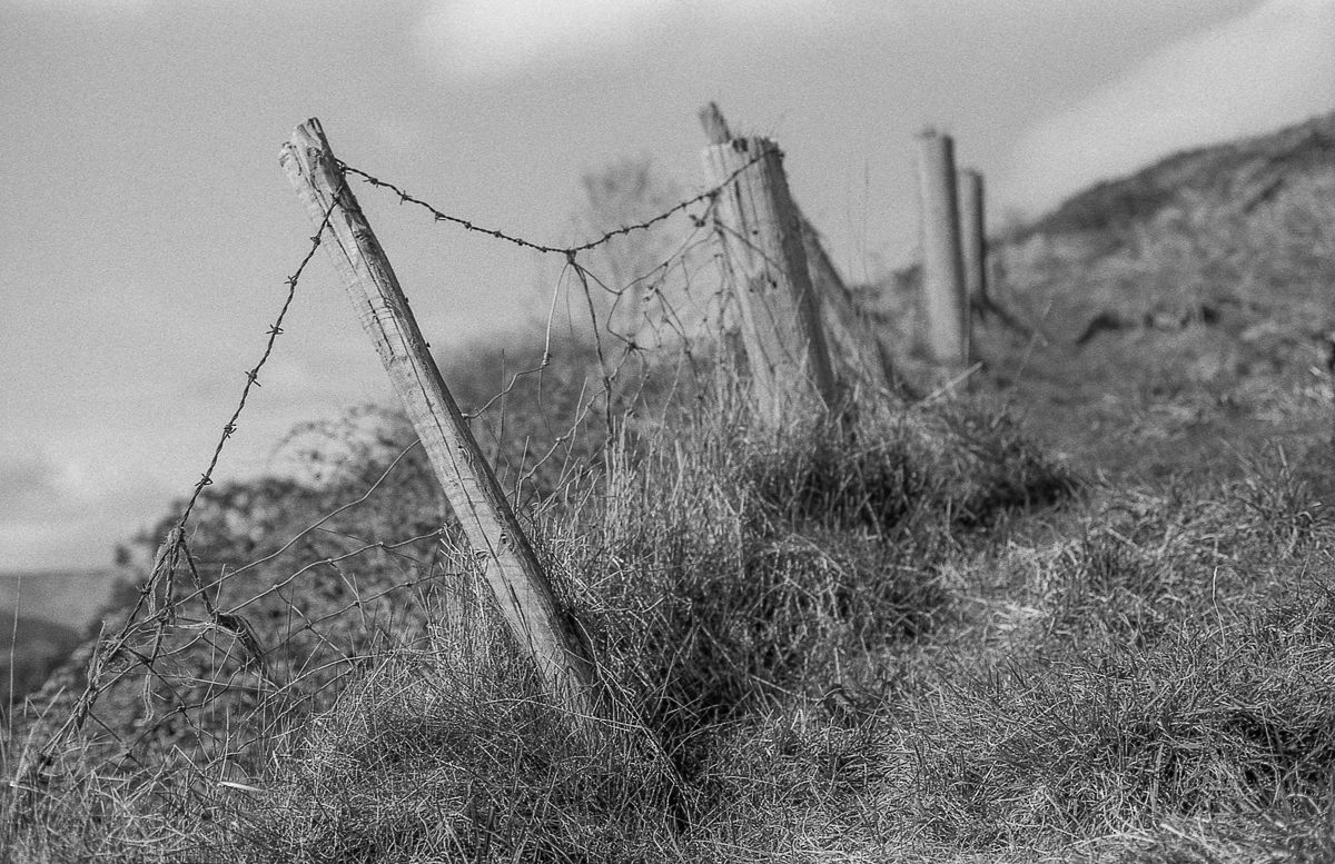 'Barbed' ... Nikon F4, 50mm f1.4 on ilford FP4 for #ilfordphoto #fridayfavourites #believeinfilm #analogphotography #themefree