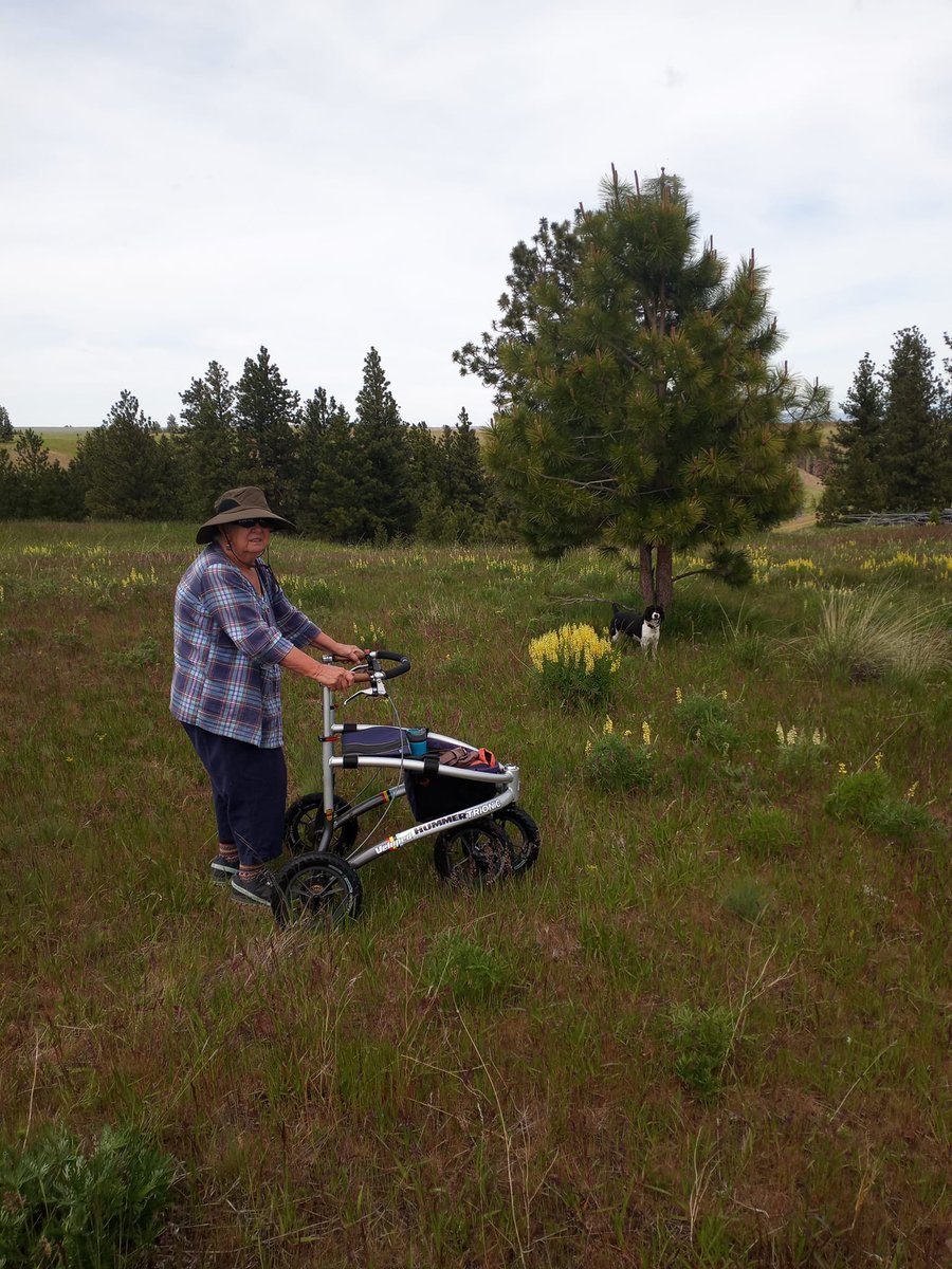 Happy Hump Day

#trionic #walker #rollator #outdoor #adventure #travel #giftidea #disability #accessibility #spring #ms #parkinsons #exploring #camping #ataxia #dogecoin #trails #HappyHumpDay #walking #BTC #active #PhysicalTherapy #WednesdayMotivation #wednesdaythought #humpday