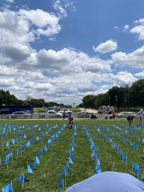 iamalsorg's tweet image. We are here on the mall and the flag display is in the ground!! Thank you so much to all the volunteers who braved both sun and a little rain to help us out! #ALSinDC