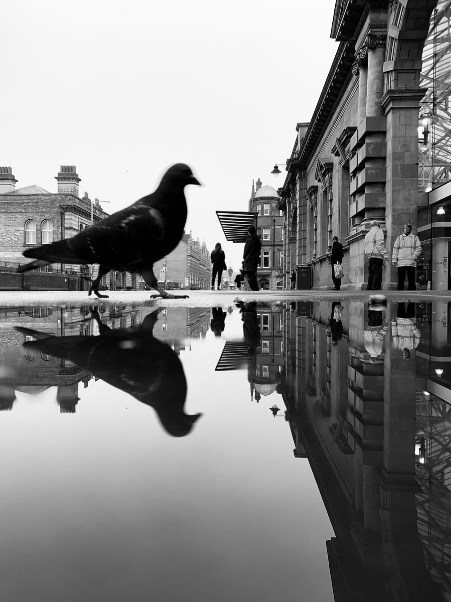 Hurry Up And Wait.

emmafwright.com/nottingham

#StreetPhotography #ShotoniPhone #bnw #monochrome #reflection #pigeon #symmetry #symmetrical #noir #Streetphotographer #Nottingham #travel #travelblogger #cityscape #streetshots  #ssicollaborative @MyNottingham @StreetShotsInt