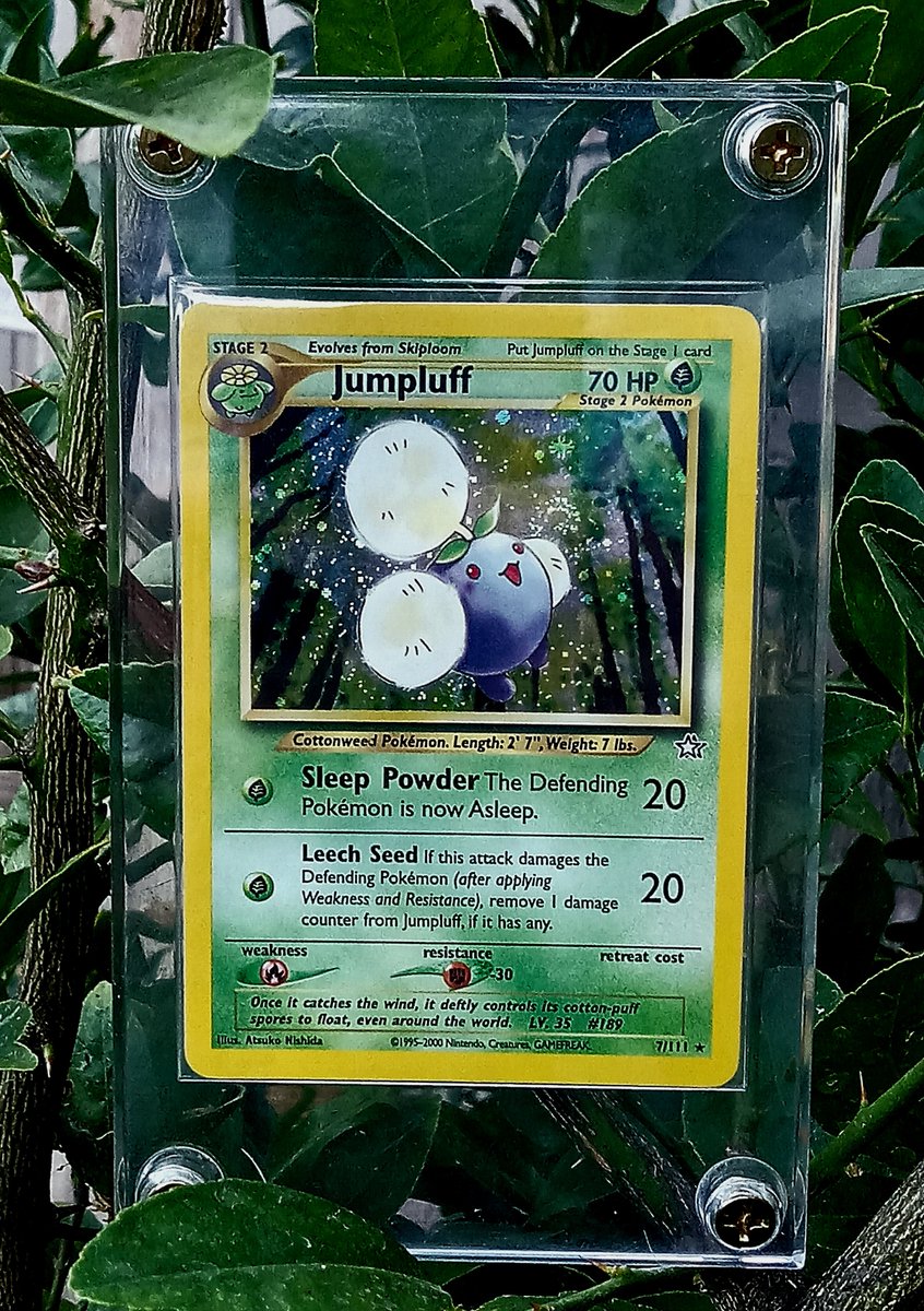 Jumpluff from Neo Genesis  another favorite card in my collection because its the only vintage card I have that has a nice Swirl on it. If you want to show me a favorite card you have with a swirl on it. 🍃🌀 
Illus. Atsuko Nishida
#Pokemon #PokemonArt #Art #Jumpluff