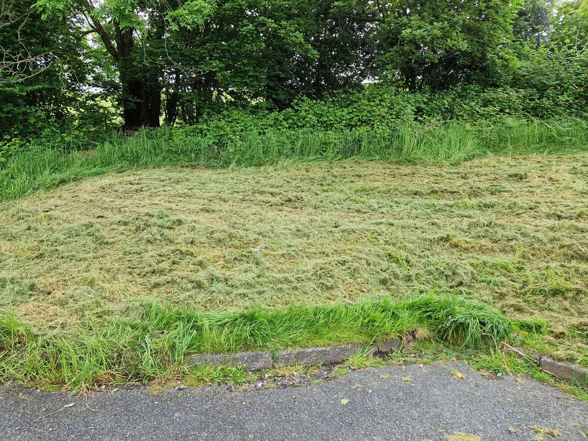 annarankin16's tweet photo. @ValleysToCoast 👋 it's me again with my annual correspondence. While I am very pleased to see this plot mowed today, I am not overly impressed by the standard. No strimmer, just a mower and none of the border line maintained as per your promise last year, and the one before... https://t.co/CVed6IWZ5W