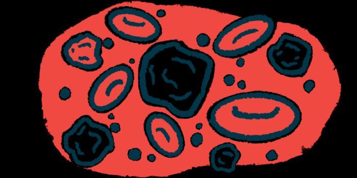 CF patients had almost twice as many neutrophils, which travel toward infections to ingest or destroy bacteria, as healthy people. buff.ly/3yMCAYU #cysticfibrosis #cfwarrior #curecf #cysticfibrosislife