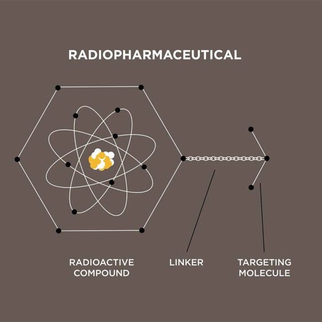 Two @Mizzou researchers are leading the way to uncover the medical benefits of a radioisotope known as terbium-161. By leveraging the capabilities of the university's Research Reactor (MURR). aau.edu/research-schol…