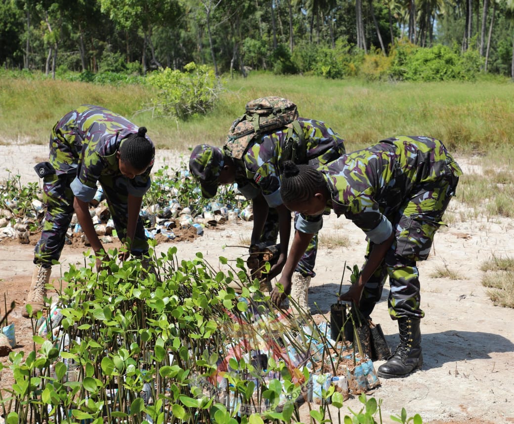 Kenya Defence Forces Units and Formations at the Coast region in collaboration with Greens of Africa, Equity Bank and Watamu local community planted 100,000 mangrove seedlings along Mida Creek within Watamu area.
 bit.ly/4bZ7QlM