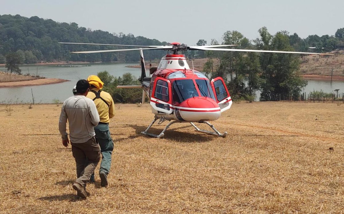 Combaten incendio forestal en la Sierra de Nanchititla, en #Luvianos

⚪Reporta #IncendiosForestales al Teléfono Rojo: 800-590-1700 o a la Línea de Emergencias 911.

Más detalles: goo.su/cykw1t