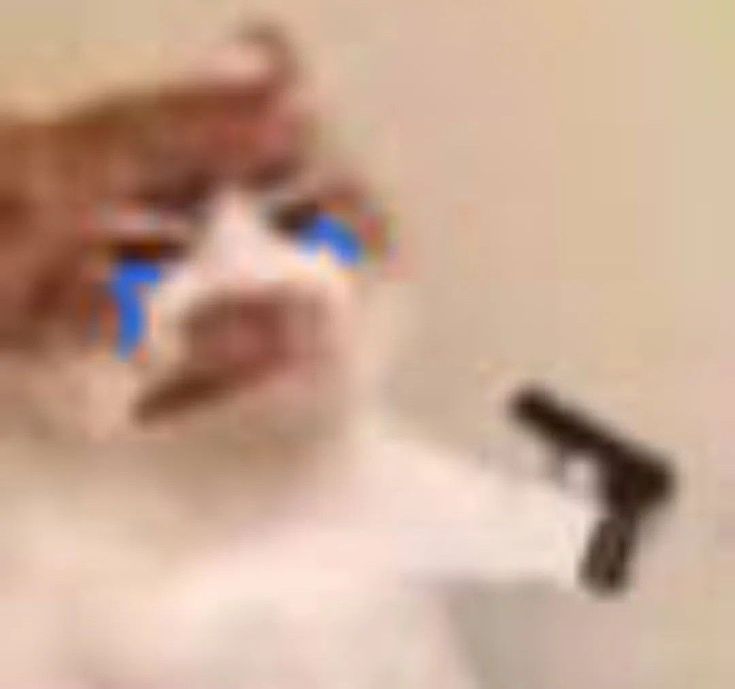 𝐴𝑠𝑡𝑒𝑟 tweet media