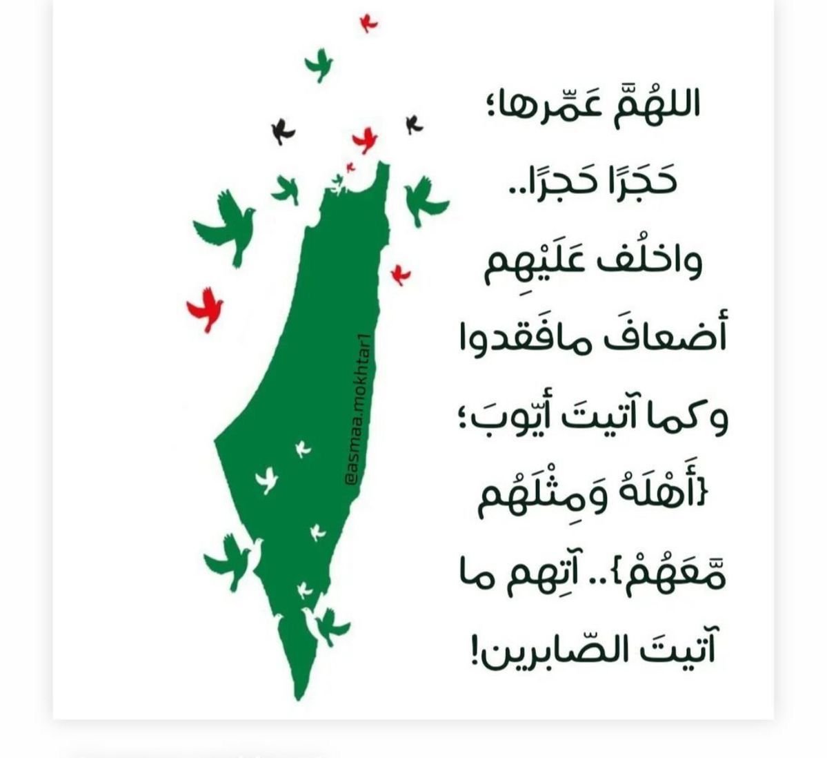 آمين يارب العالمين 🤲 #غزه_تقاوم_وستنتصر_بإذن_الله #فلسطين_قضية_الأحرار 🇵🇸✌️