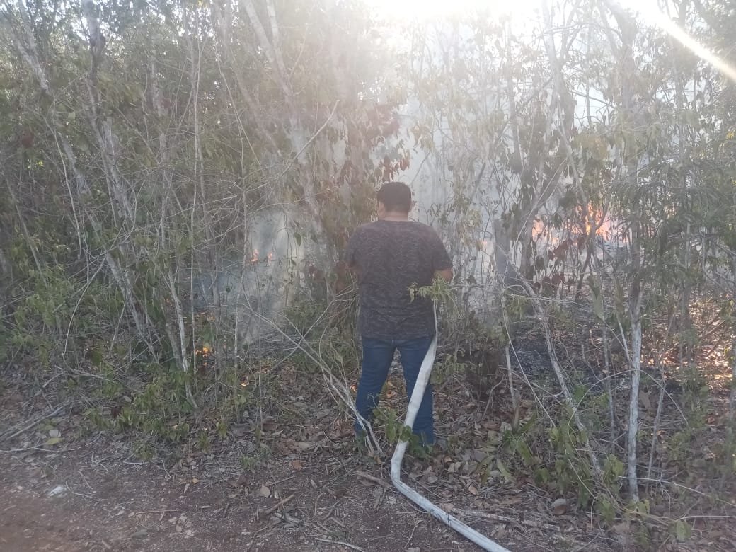 Por: Josè Palma

Las altas temperaturas, la sequía así como el mal manejo del fuego de producto de las quemas agrícolas, colillas de cigarro y fogatas han sido el principal detonante de los 15 incendios forestales registrados Bacalar afirmó Marcelino
puntodequiebre.net/2024/05/29/fac…