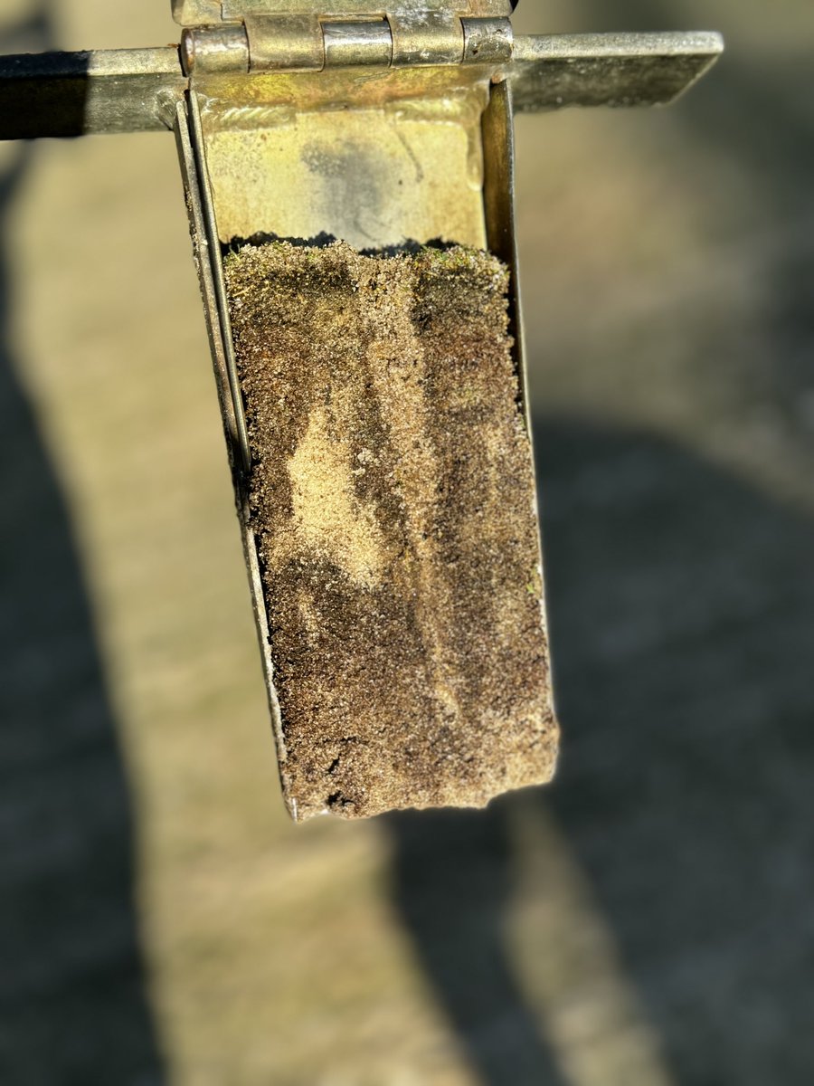 Matt Spatara tweet media