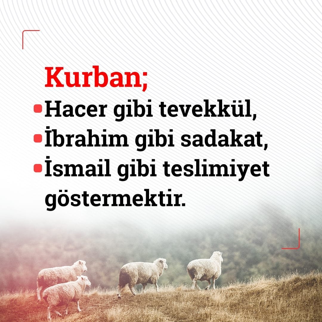 Kurban Teslimiyettir
Kurban Hacer gibi tevekkül 
Kurban İbrahim gibi sadakat 
Kurban İsmail gibi teslimiyet