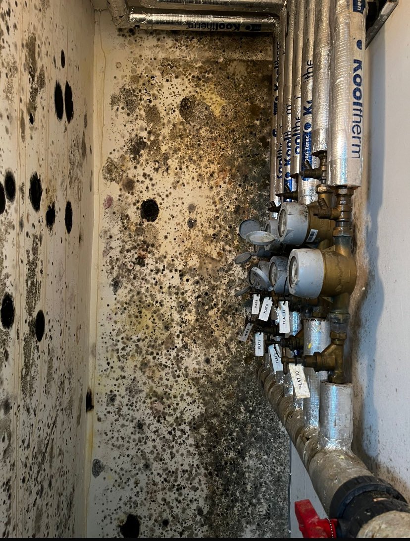 housing_sector's tweet image. Got a problem with damp and mould? 

Don’t worry #GreenSquareAccord have a spray for this!

This is the GSA Way! Inspirational housing providers.

#PoorHousing #DampProblems #MouldIssues #HousingCrisis #TenantRights #HousingNeglect #MouldInHomes