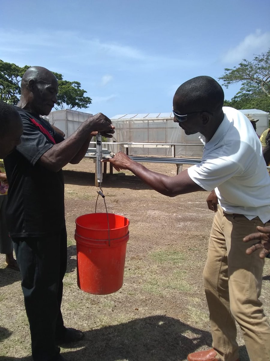 FAOCaribbean's tweet photo. 🇬🇩Seamoss farmers and technicians in #Grenada are learning about good practices in post-harvest processing &amp; drying of seamoss and looking at conversion ratios of wet to dry seamoss. This will help farmers to achieve quality dried seamoss. #valuechains4change #betterproduction https://t.co/TfuJPhlzuu