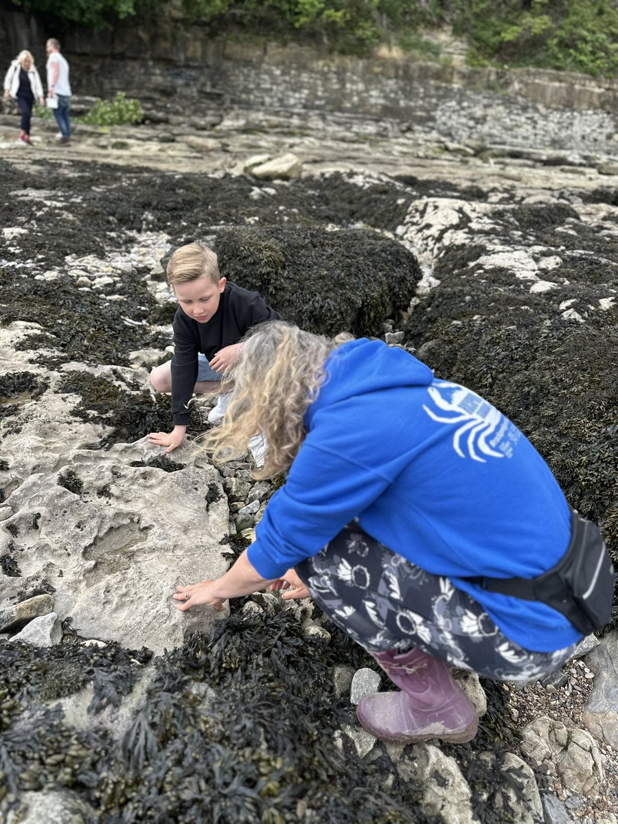 Roedd J wedi mwynhau sesiwn gyda @BeachAcadWales yn Ynys Y Bari heddiw. Dysgodd am greaduriaid sydd yn byw ar lan y môr. #rockpoolschool @penalltau @mrsj_p @MrsLRees1 🪸🦪🐌🦐🐚🦀