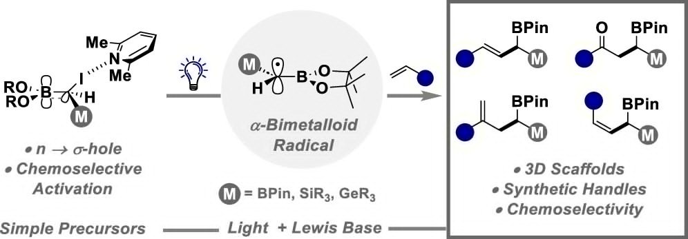 Photogeneration of α-Bimetalloid Radicals via Selective Activation of Multifunctional C1 Units (@Johnjmol): pubs.acs.org/doi/10.1021/ja… (@J_A_C_S).