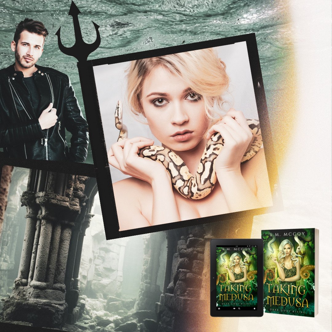 S.M. McCoy Author of Romantasy💋 tweet media