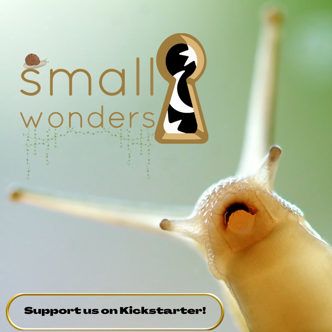 We heard it's National Snail Day! That's worthy of shell-ebration! If you'd like some wonders via snail mail, check out our kickstarter - stickers, a patch, pins, paintings, bangles, a bespoke crocheted monster, and a mycology missive from @cislyn!

kickstarter.com/.../small-wond…