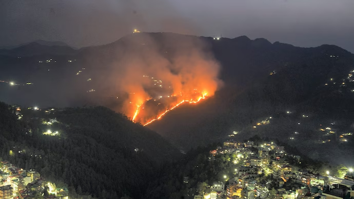 1038 forest fires reported this summer in Himachal Pradesh this year 25 reported on Wednesday itself Over 3,000 officials deployed to check the incidents of forest fires in the state No Casualties so far #himachalpradesh #shimla #forestfires #wildfires