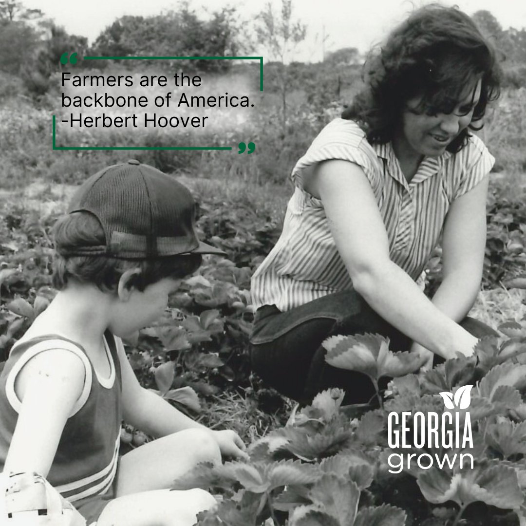 Thank you to Georgia's farmers, who cultivate the finest produce and products in the nation. #Georgia #Farming #Agriculture #Agriculture #FarmLife