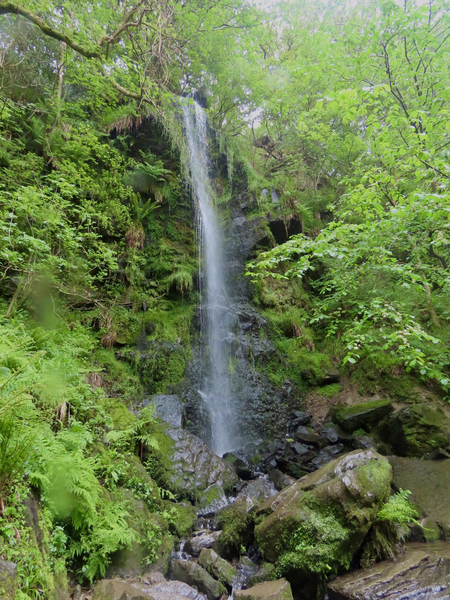 From yesterday, Mallyan  Spout waterfall near Goathland. #northyorkmoors #mallyanspout